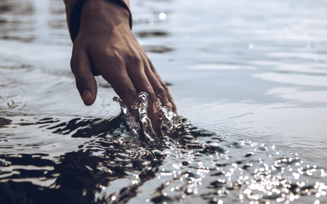 Mind Fishing